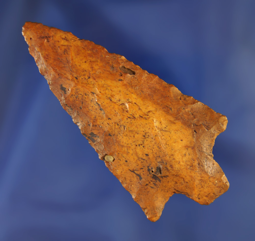 3" found near the Santa Fe River, Alachua Co.,  Florida. Ex. Robert E. Barr, Len Weidner collections