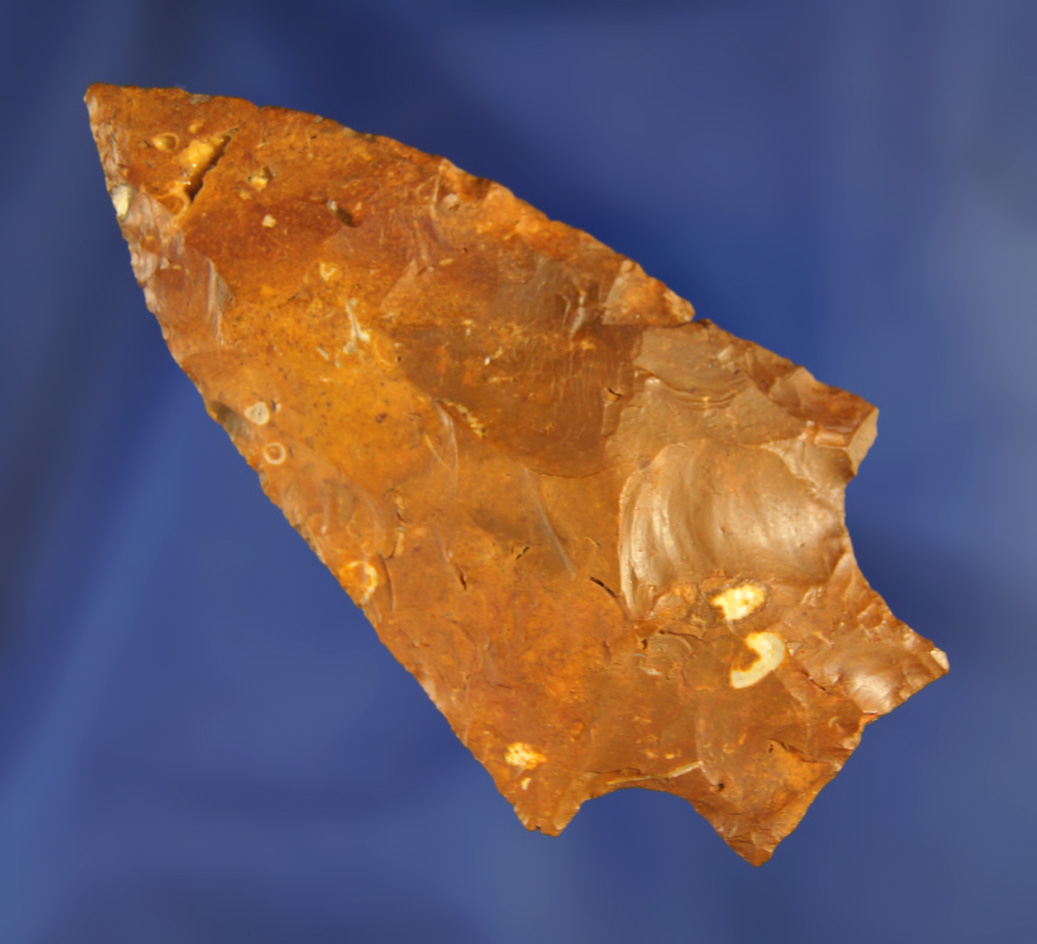 3 1/16" found near the Santa Fe River, Alachua Co.,  Florida. Pictured in Who's Who #3, page 32.