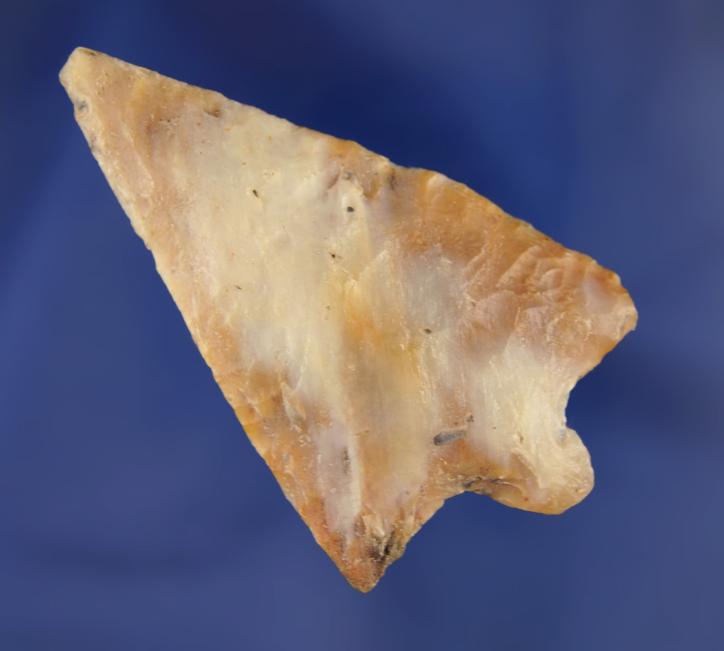 2 7/16" found in Pinellas Co.,  Florida.  Ex. Robert E. Barr, Len Weidner collections. Pictured