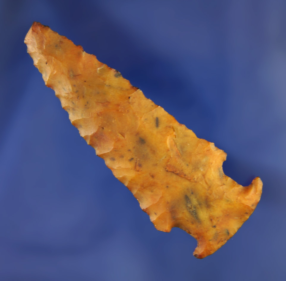 2 5/8" Bolen Bevel E-Notch found near the Santa Fe River in Alachua Co.,  Florida.  Pictured