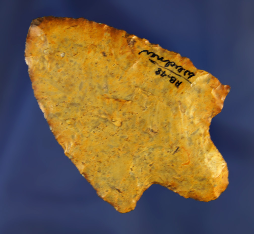 2 3/4" found near the Santa Fe River, Alachua Co.,  Florida. Ex. Robert E. Barr, Len Weidner