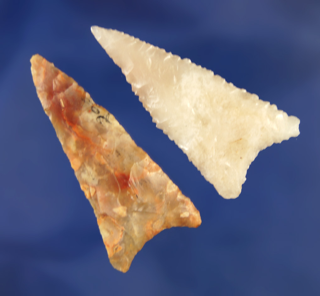 Pair of well made Triangle Points found in Pasco and Pinellas Co., Florida  Ex. Robert E. Barr