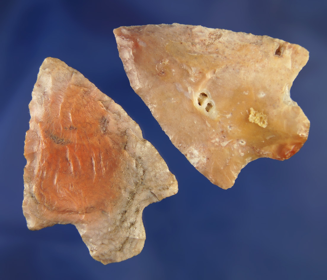 Pair of beautifully colorful Florida points found in Lee and Pascoe Co.,  Florida. Largest is 1 7/8"