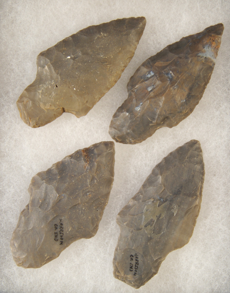 Set of four Hornstone Adenas found in Harrison Co.,  Indiana, largest is 2 5/8".