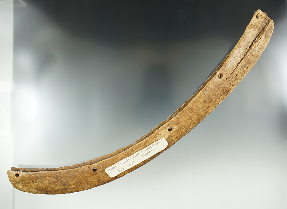 Hard to find artifact! 12 7/8" Bone Blade for a wooden shovel from Alaska.