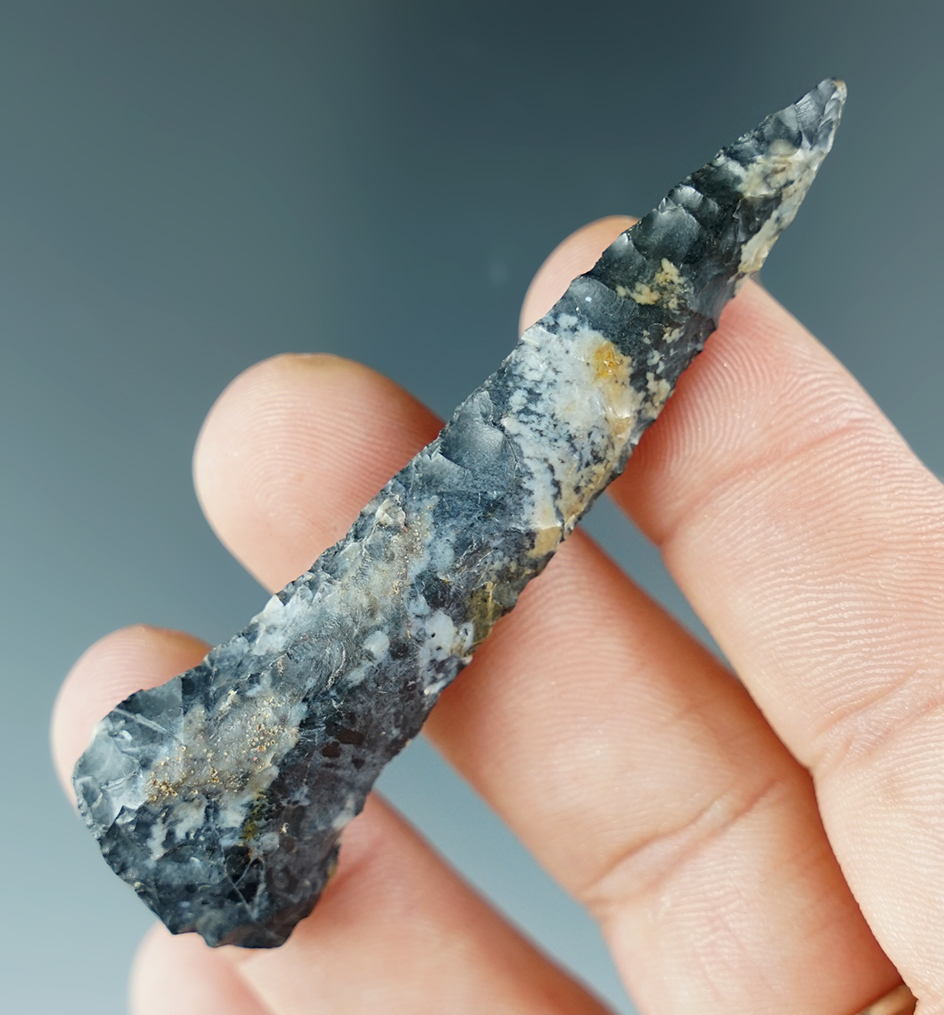 2 3/4" Highly colored Drill made of white and blue Coshocton. Found in Williams Co., Ohio.