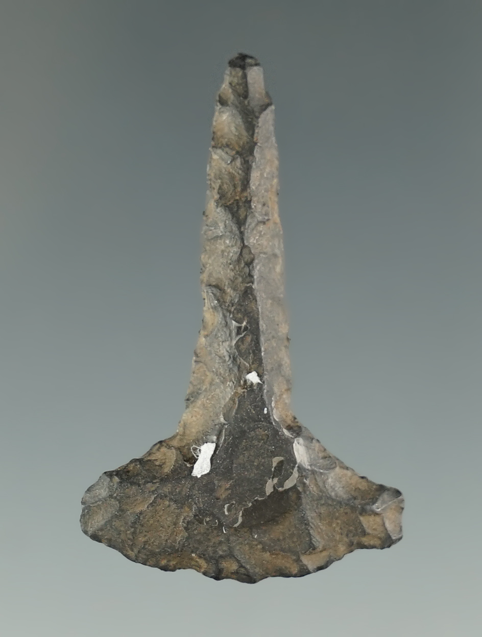 Expanded based drill in very good condition that measures 1 7/16". Malheur Co., Oregon.