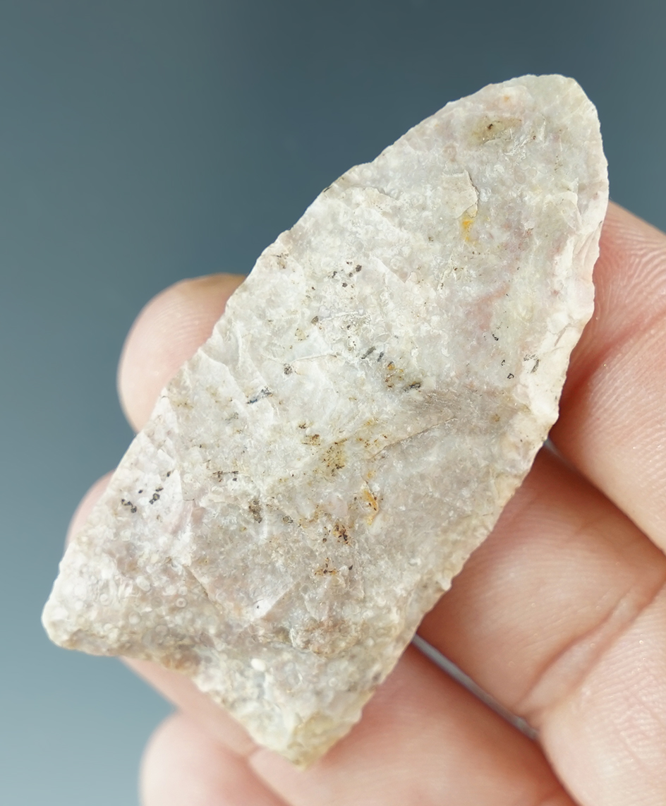 2 1/16" Pink and cream Coral Paleo Point from Florida.