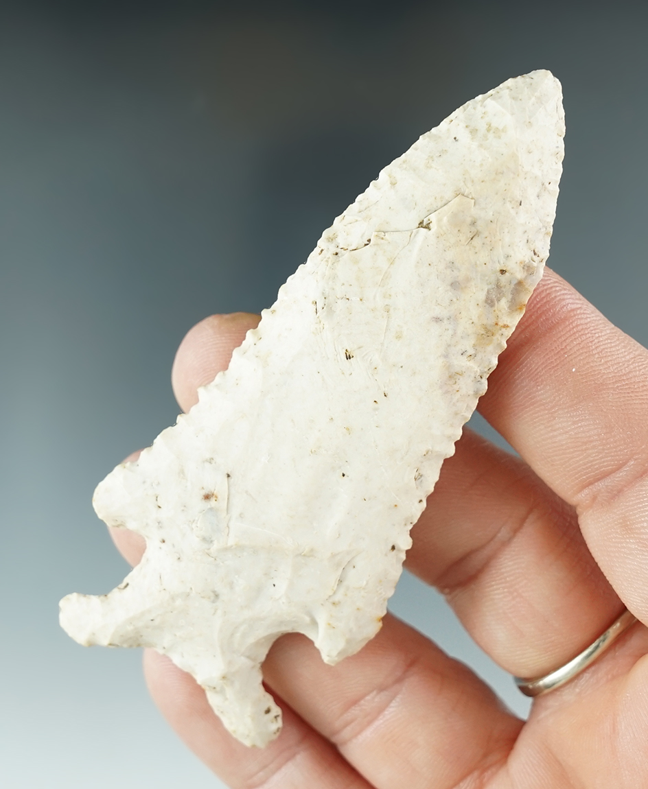 3 1/4" Pine Tree found in Missouri. Comes with a Bennett COA.