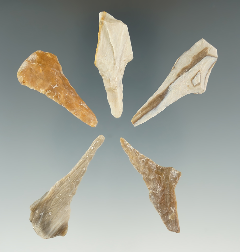 Group of 5 Columbia River Drills, largest is 1 3/4".