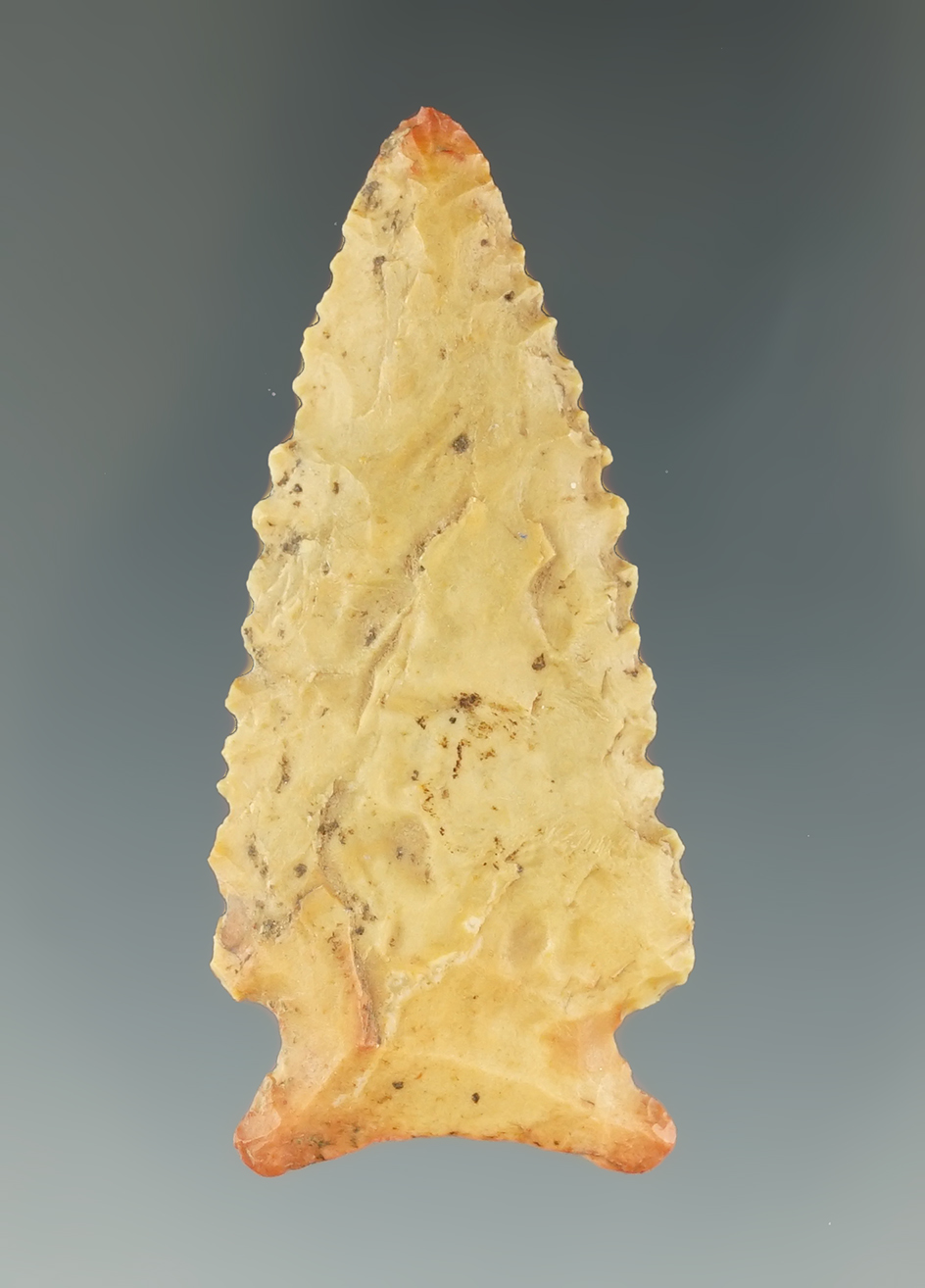 2 1/16" San Patrice found in Clay Co., Arkansas. Comes with a Rogers COA.