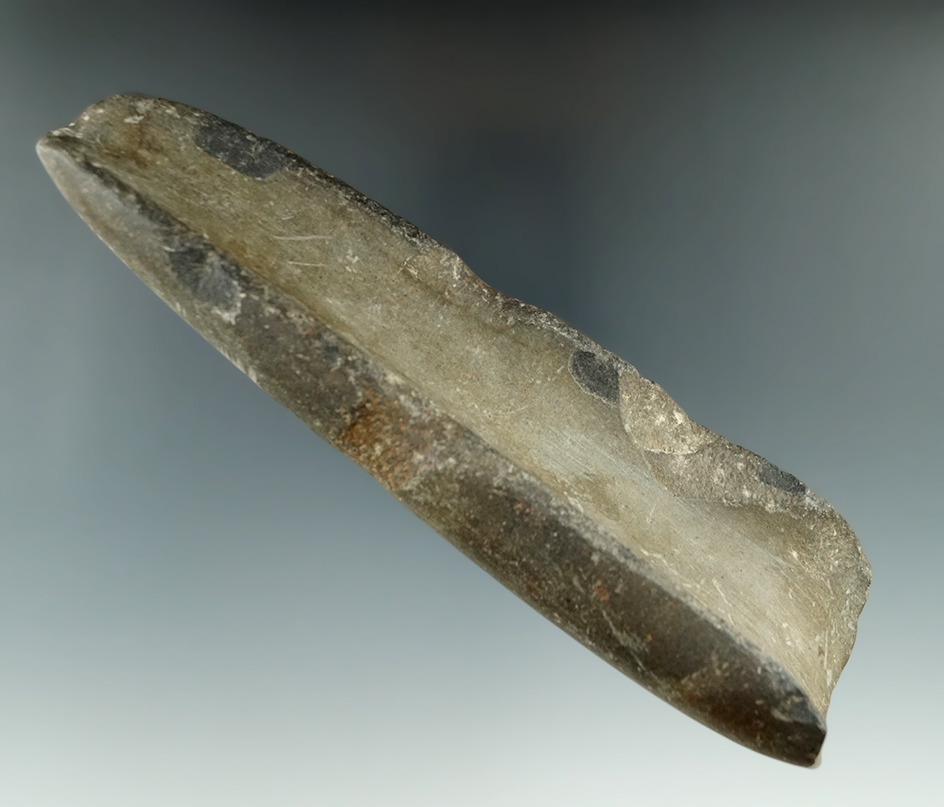 Very unique! 7 1/8" deeply scooped gouge found in New York with hafting groove.