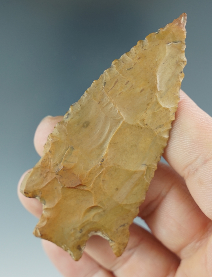 3 1/16" Kirk Stemmed made from yellow Jasper. Found in Alabama. Comes with a Perino COA.