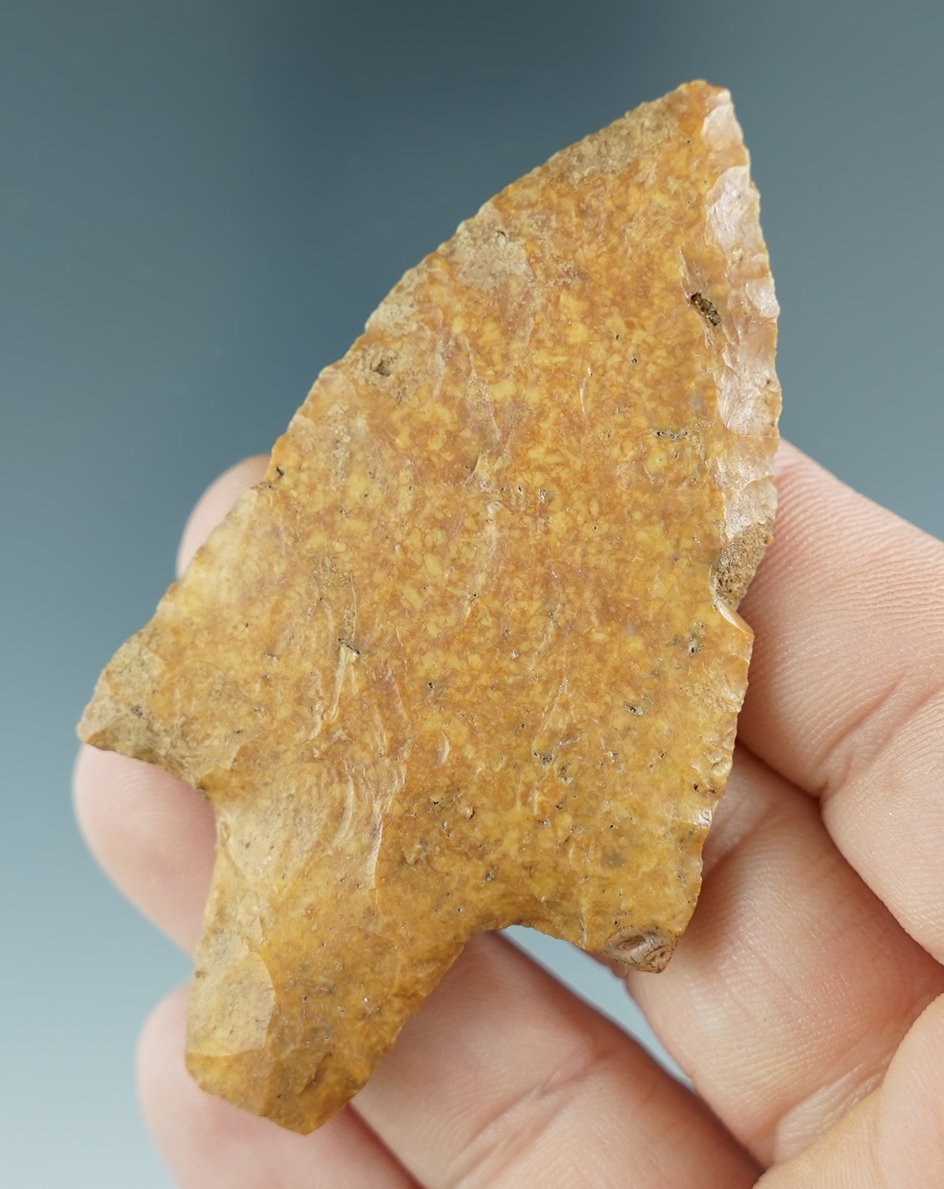 2 7/8" Newnan that is well flaked and nicely patinated found in Florida. Ex. Tom Davis.