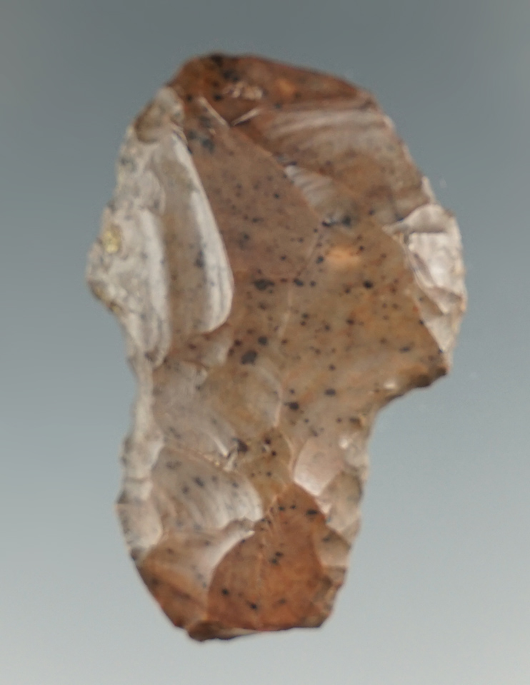 1 9/16" Paleo Uniface Silver Lake Scraper made from dark brown Obsidian. Nevada. Pictured!