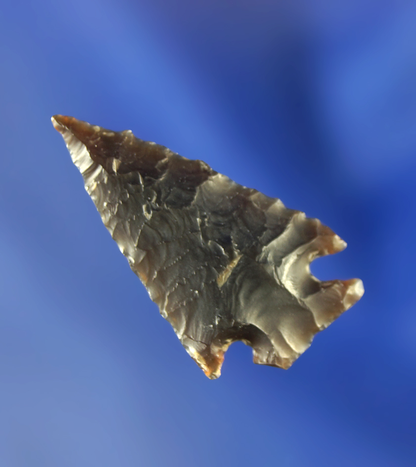 1 1/8" Pelican Lake that is nicely styled from high quality semi translucent material. Wyoming.