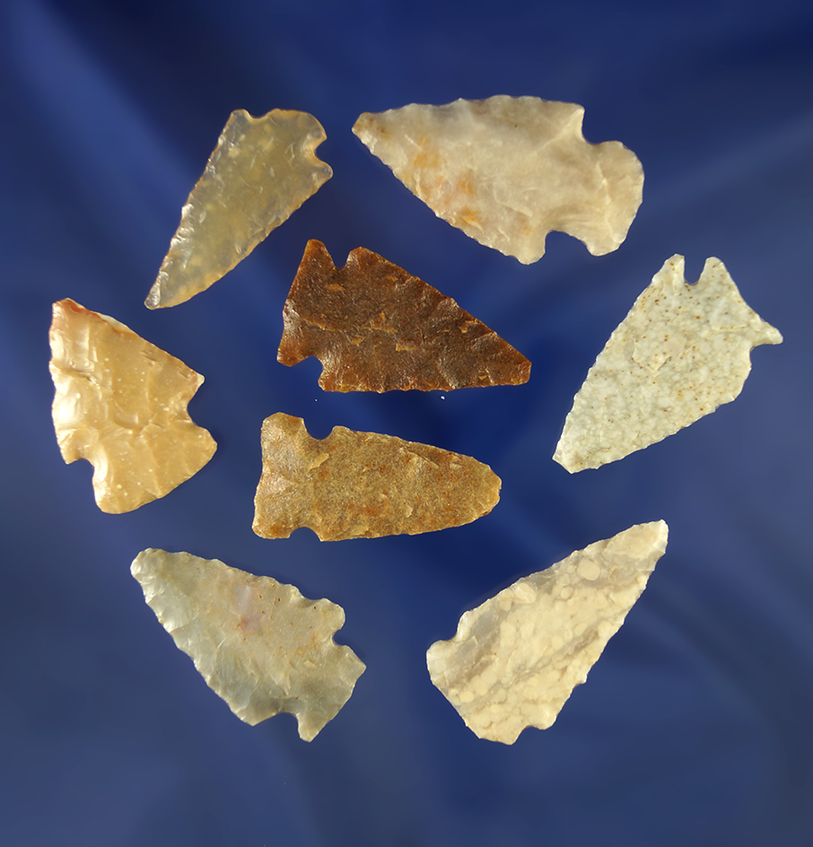 Set of nine assorted arrowheads in various conditions, largest is 1 7/16". Wyoming.