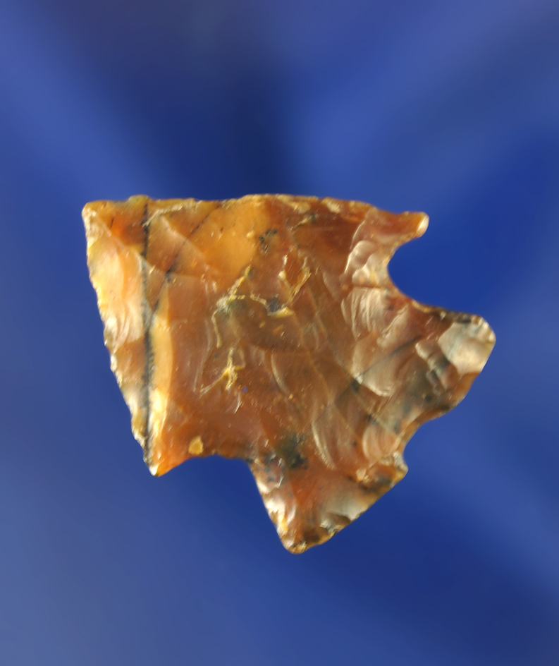 1 1/16" Pelican Lake - beautiful multicolored semi translucent petrified wood. Wyoming.