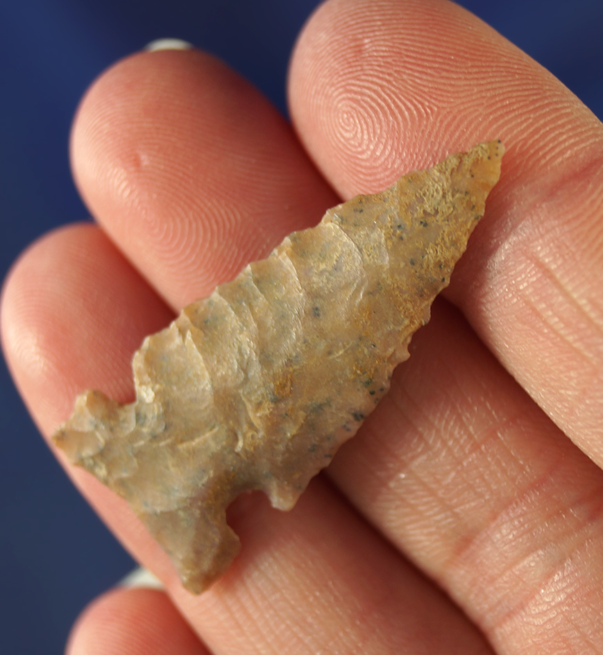 Thin and nicely flaked 1 7/16" Lookingbill point. Wyoming.