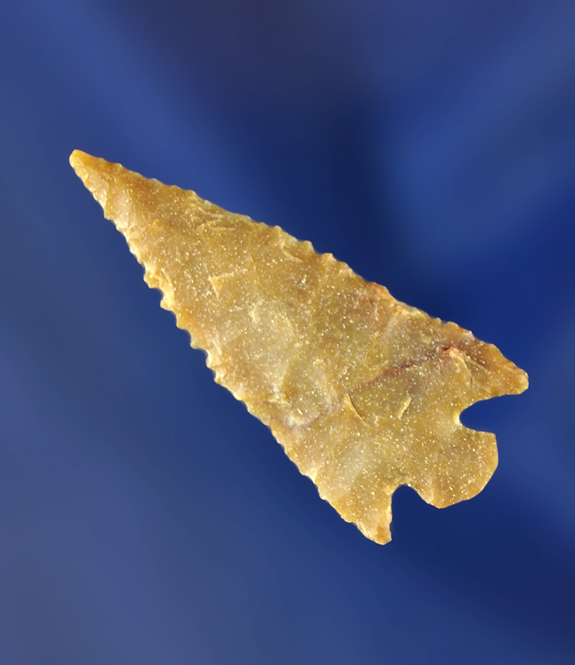 1 7/16" Foothill Corner Notch that is thin and nicely flaked with excellent micro-serrations. WY.