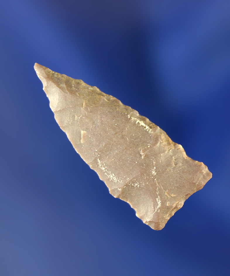 1 1/8" Besant point. Wyoming.