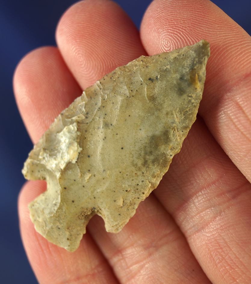 1 11/16" Corner Notch point that is well patinated. Wyoming.