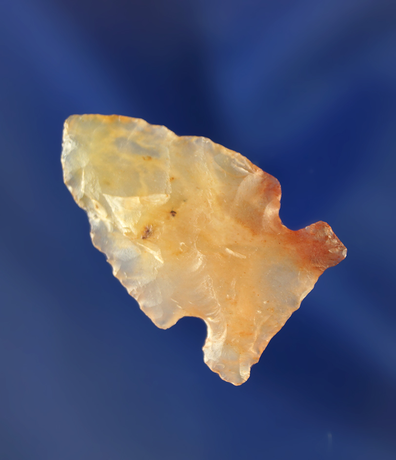 1 3/16" Lookingbill made from nearly see-through clear and red colored agate. Wyoming.