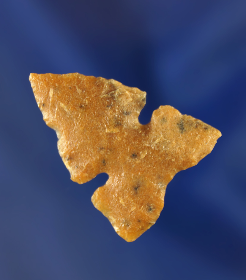 1 5/16" nicely styled Mallory point. Wyoming.