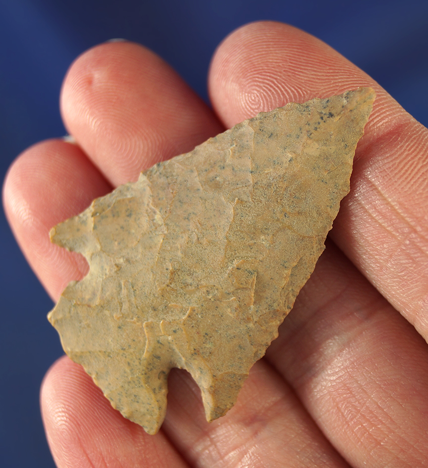 1 3/4" Pelican Lake that is heavily patinated. Wyoming.