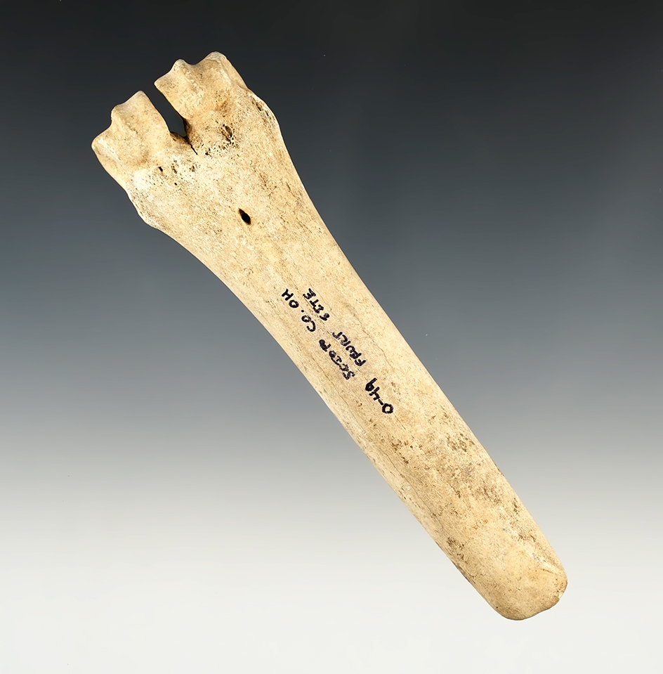 Interesting 5 1/16" Bone Celt/Gouge found at the Feurt Site, Scioto Co., Ohio by Dr. Stanly Copeland