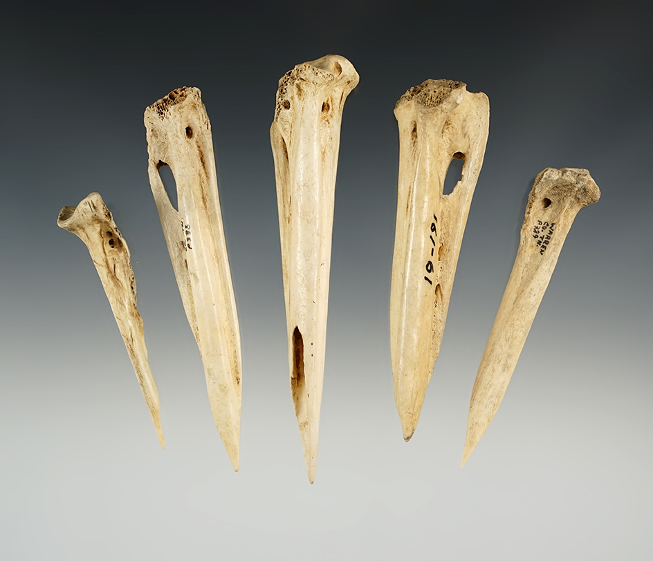 Set of 5 Tennessee Bone Awls. The largest is 4 5/16".
