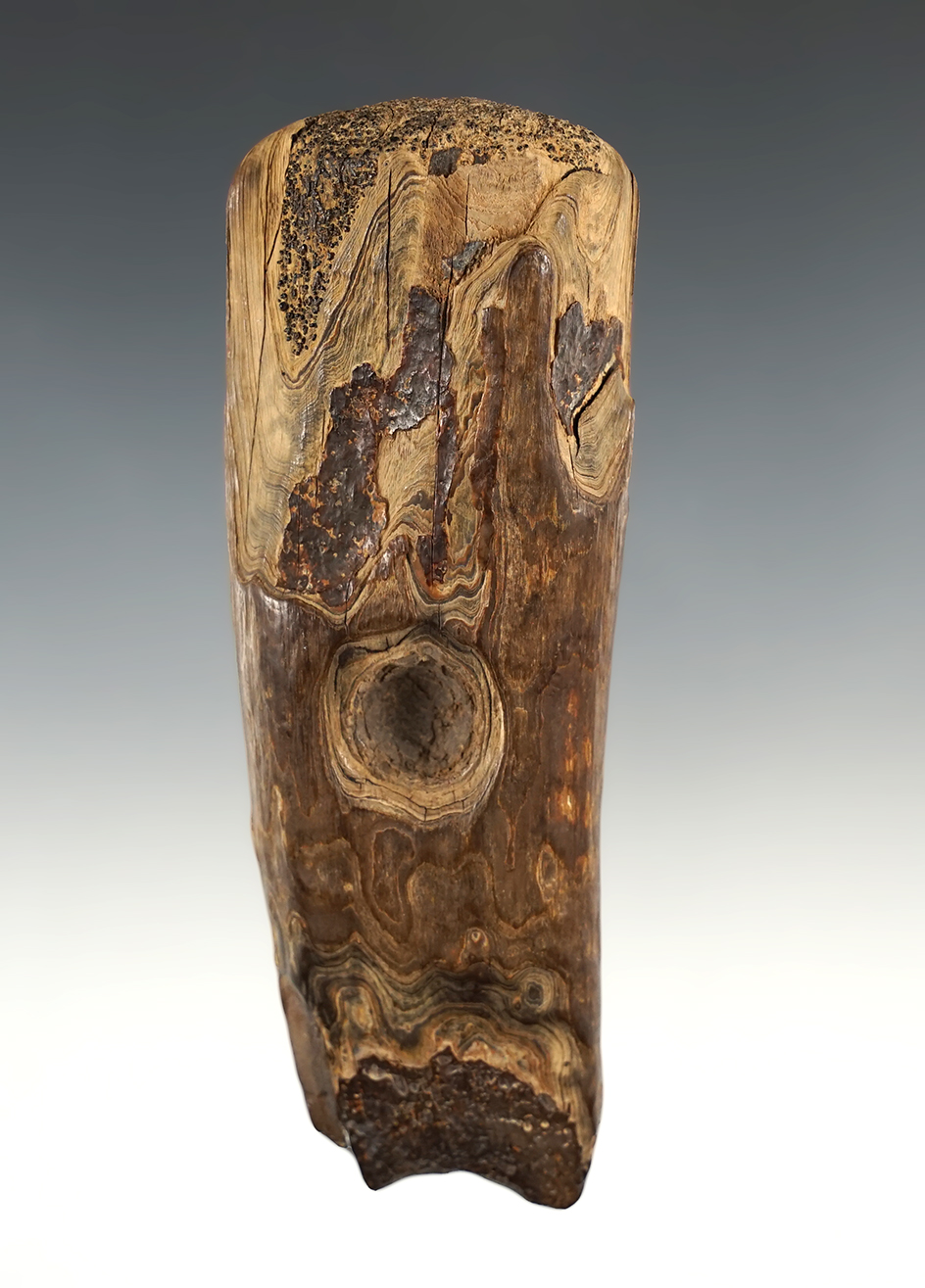 4 5/8" Fossilized Section of pine wood used on both sides as a fire starter. Arkansas.