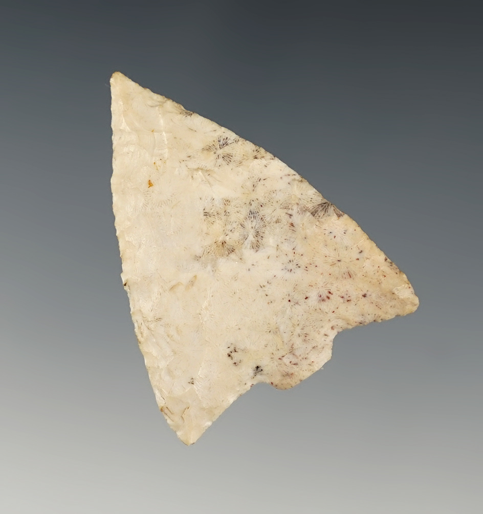 1 3/4" Hillsborough point made from attractive material. Found in Sarasota Co., Florida.