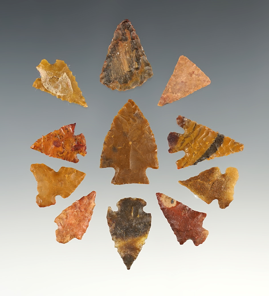 Set 11 nice New Mexico points. of The largest is 1 1/8".