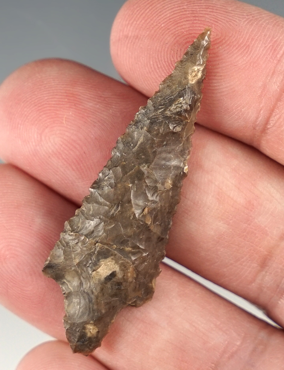 Outstanding 1 15/16" Rabbit Island Dart point - Whiteman Co., Washington.