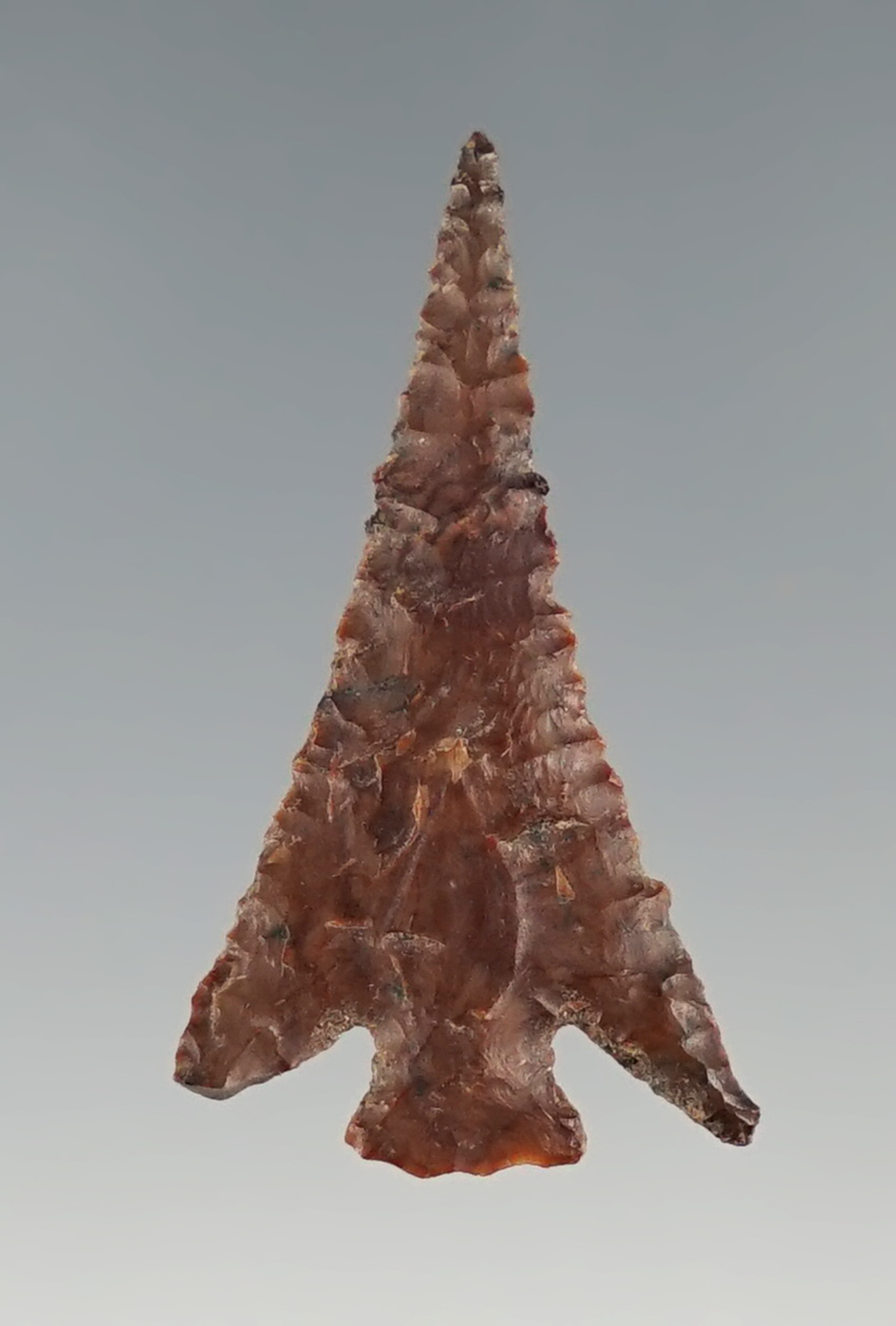 Well flaked and thin 1 1/8" Columbia Plateau found near the Columbia River by Frank Buehler.