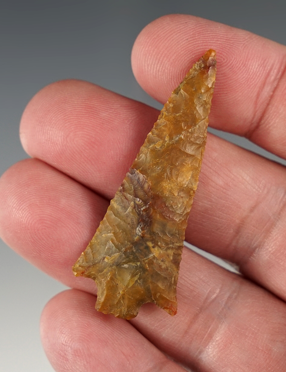 Exceptional 2 1/16" finely flaked Rabbit Island found near Sauvies Island, Oregon.