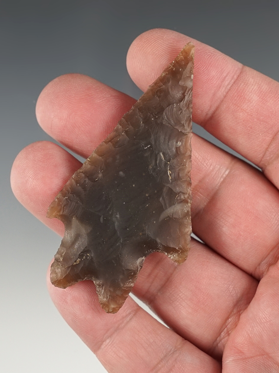 Well made 2 3/4" Semi-translucent Pedernales found close to the Bandera River. Arnold COA.