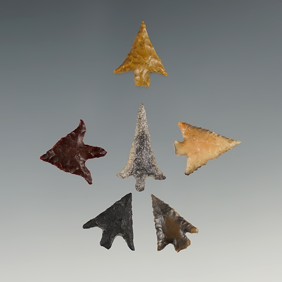 Set of 6 delicately flaked Gem Points found near the Columbia River. The largest is 1 3/16".