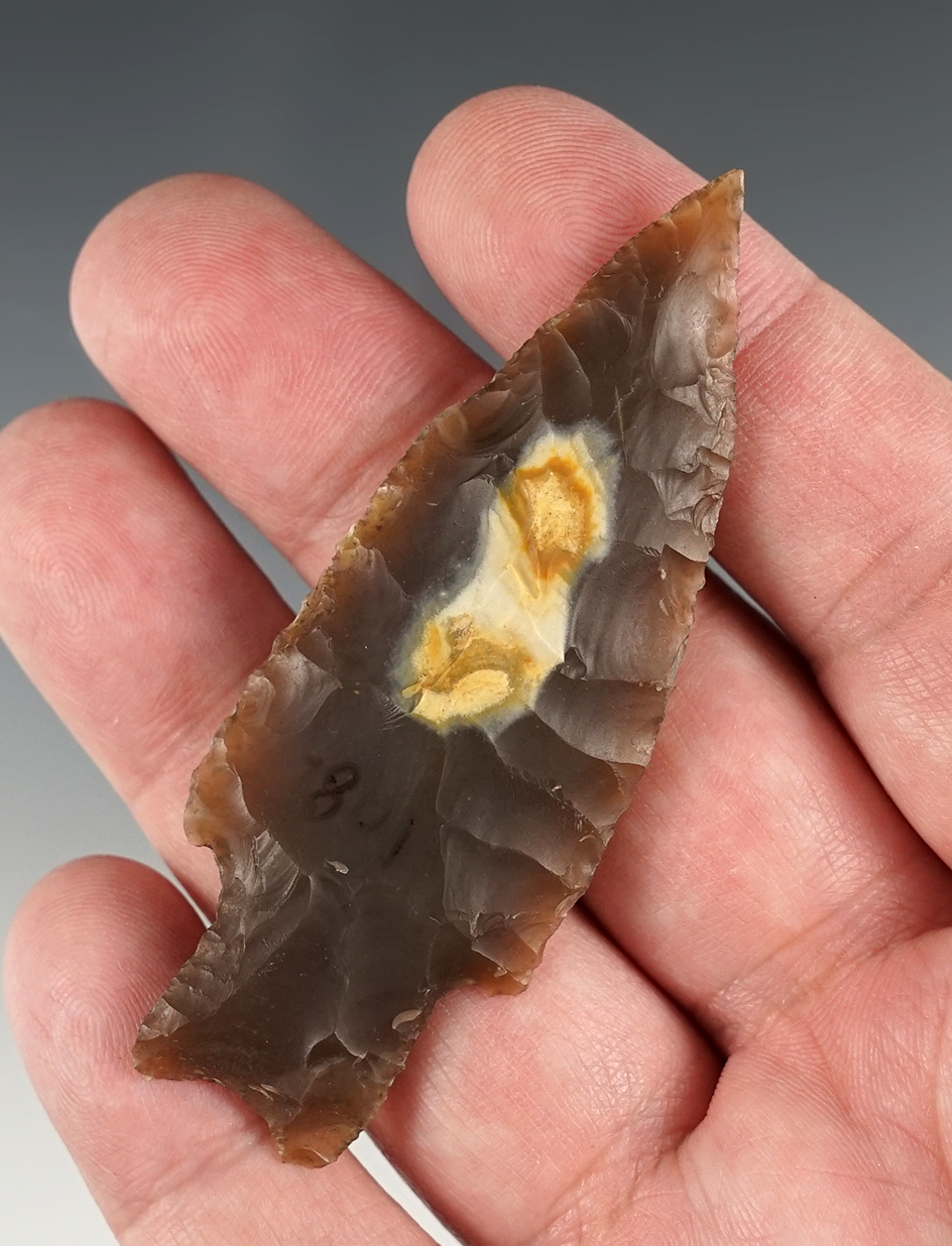 2 15/16" Pedernales found in Limestone Co., Texas. Ex. Bill Arnold. Comes with a Rogers COA.