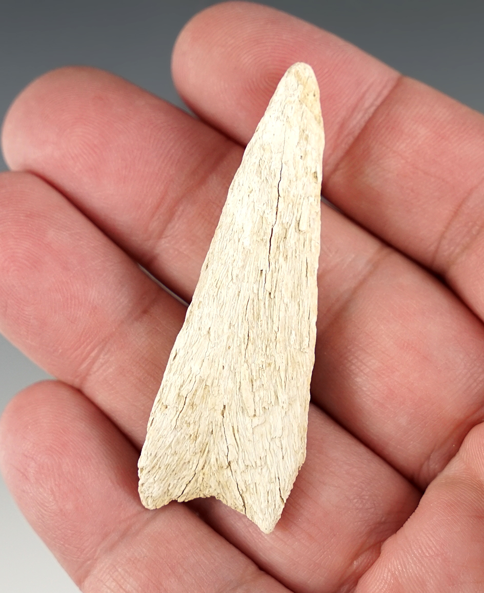 2 5/16" Bone Projectile point found in Virginia.