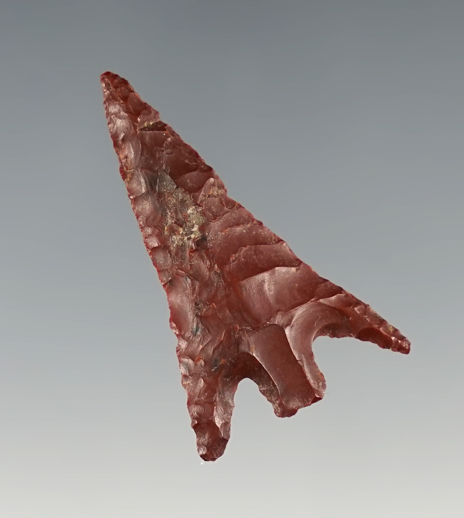 1 3/8" Red Jasper Columbia Plateau with nice wings. Found near the Snake River, Washington.