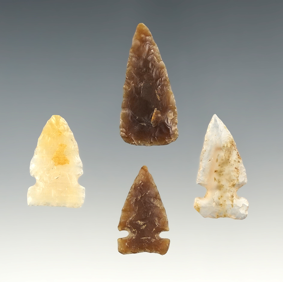Set of 4 assorted points. Boley Site in Morton Co., North Dakota. The largest is 1 1/4".