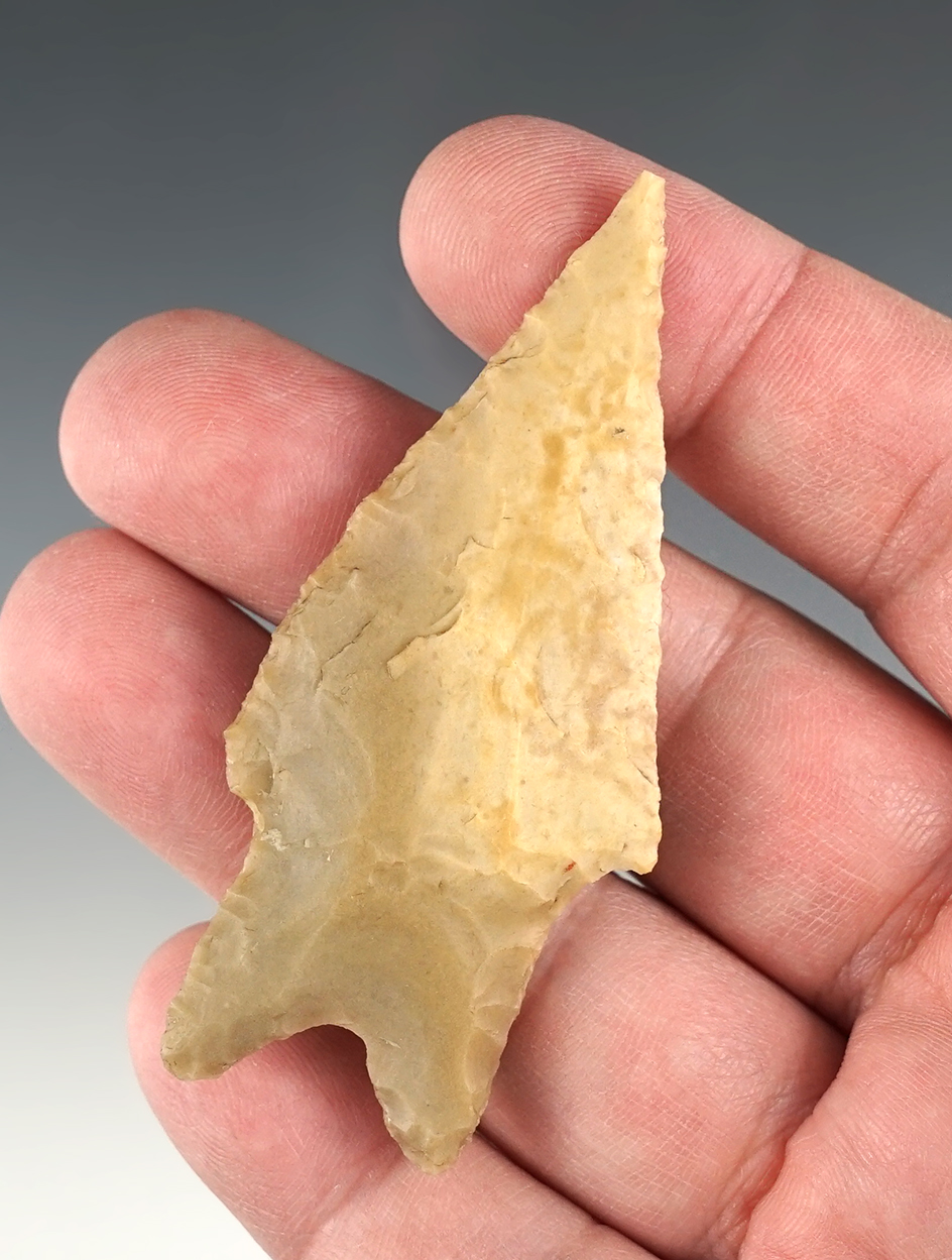 2 15/16" Texas Pedernales in nice condition.