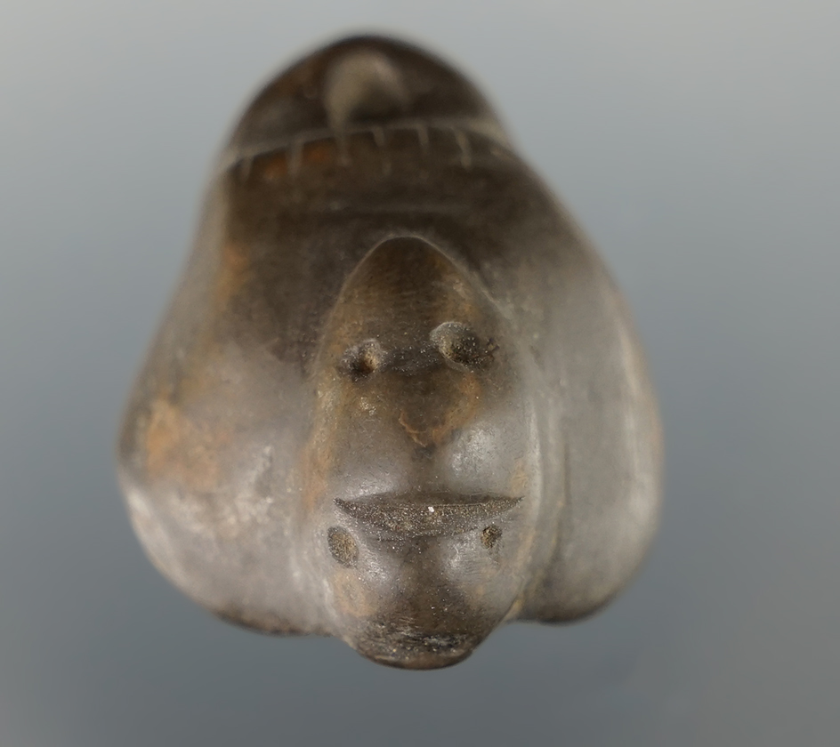 Unique! 1 1/2" avian effigy stone mic Mac pipe in nice condition found in New York.