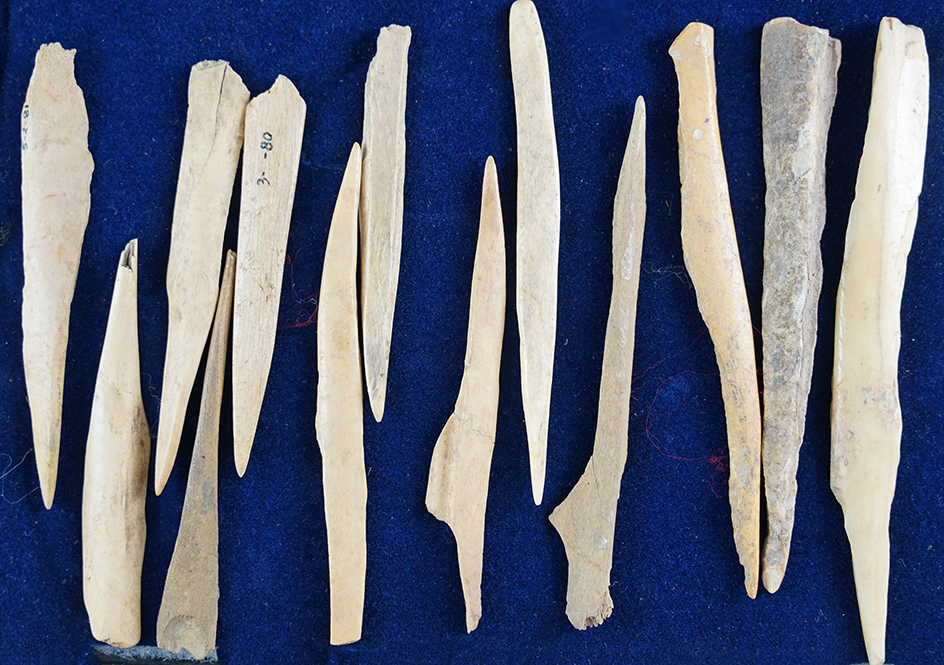 Nice set of 13 bone awls found at a site in Kentucky. Largest is 5 1/16".