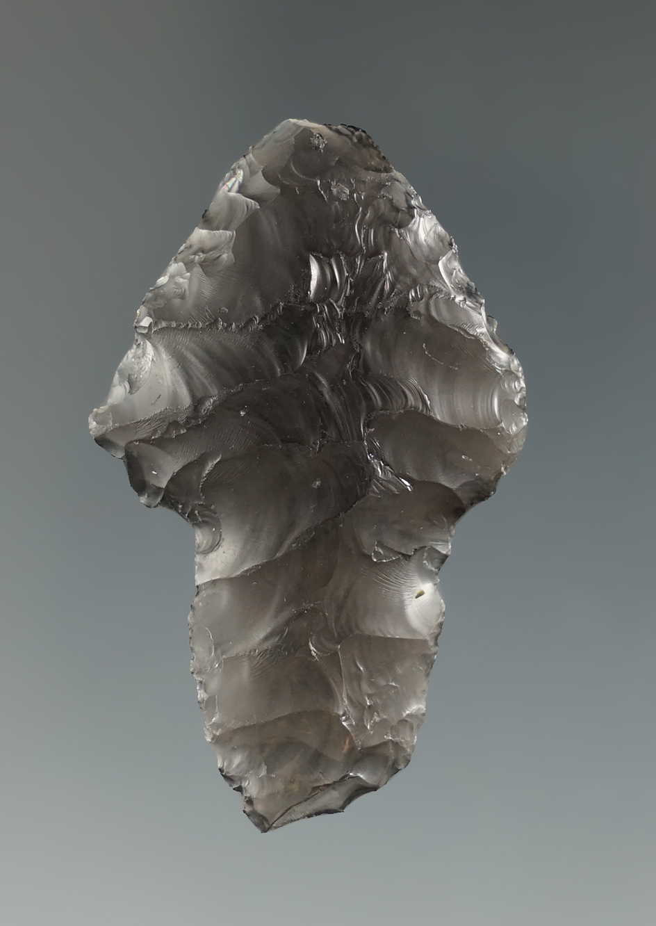 1 11/16" Paleo Silver Lake with a chisel tip found in Beatty, Nevada. Ex. Jim Hogue collection.