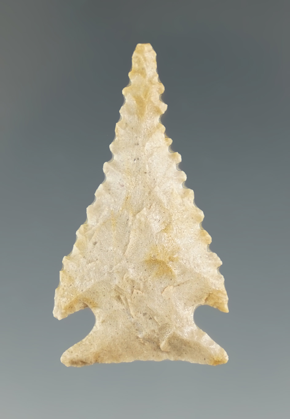 1 1/2" Serrated Tularosa made from tan chert, found in Colorado. Bennett COA.