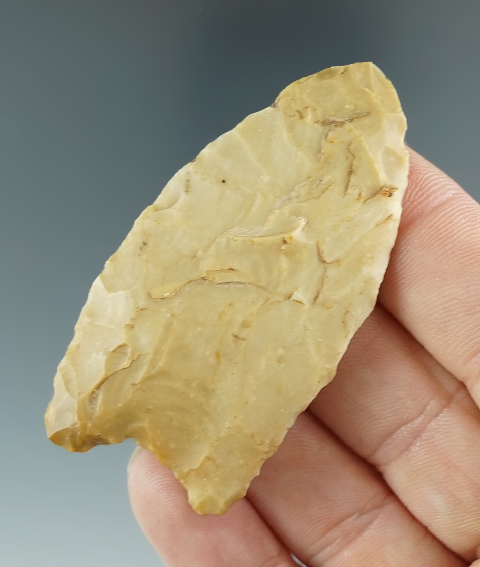 2 7/16" Wheeler made from Ft. Payne chert. Found in Limestone, Alabama. Davis COA.