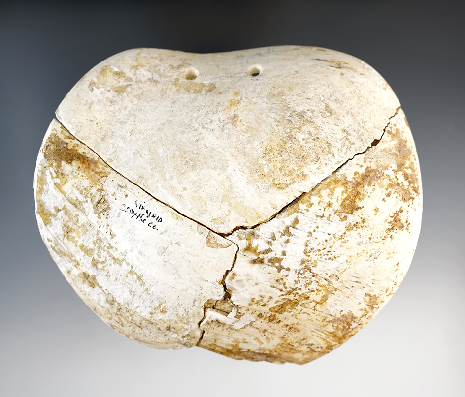 4 7/8" Wide Shell Gorget, Smythe Co., Virginia.